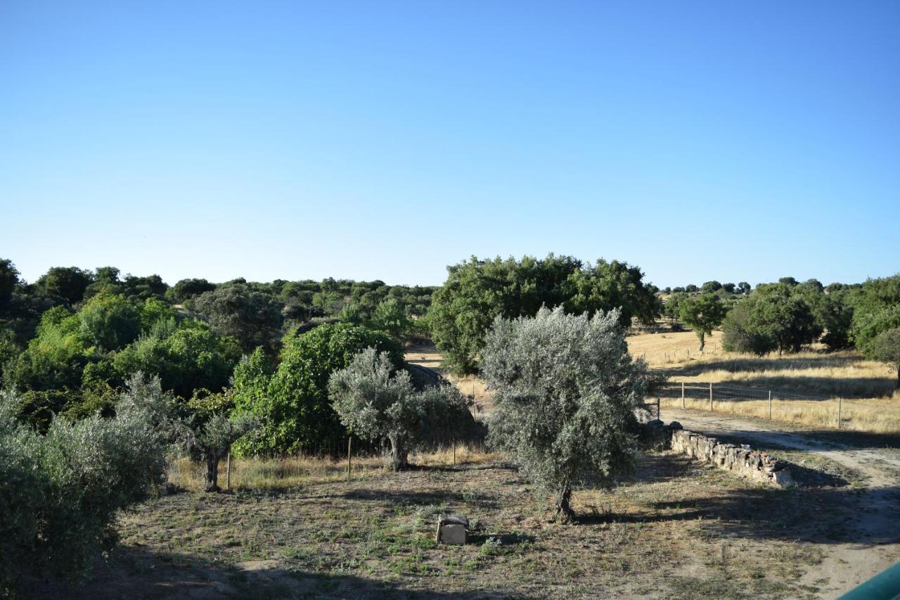 Memsoares Country House Castelo de Vide Eksteriør billede